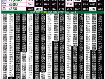 Lottery Result Today August 3, 2024