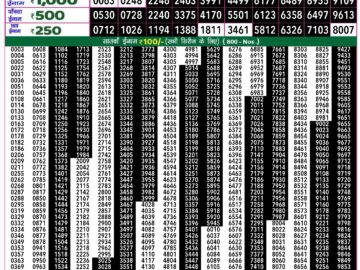 Lottery Result Today August 10, 2024