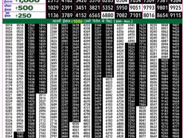 Lottery Result Today August 17, 2024