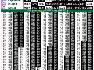 Lottery Result Today August 24, 2024