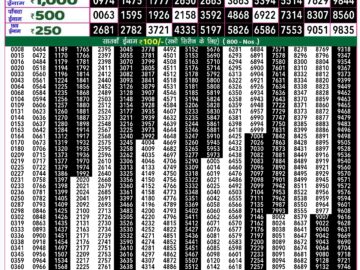 Lottery Result Today August 31, 2024