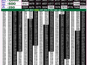 Lottery Result Today August 16, 2024