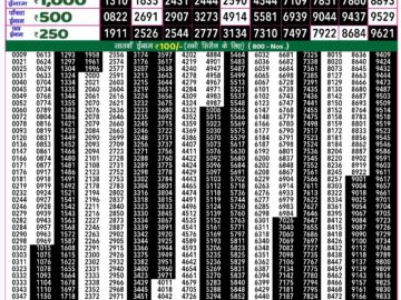 Lottery Result Today August 30, 2024