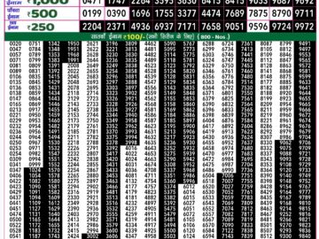 Lottery Result Today August 5, 2024