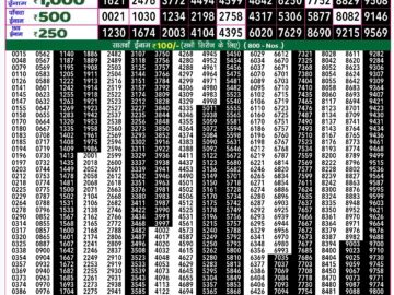 Lottery Result Today August 12, 2024