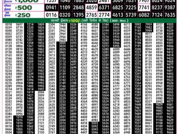 Lottery Result Today August 26, 2024