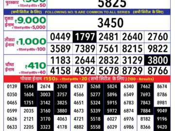 Lottery Result Today August 20, 2024