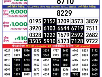 Lottery Result Today August 12, 2024