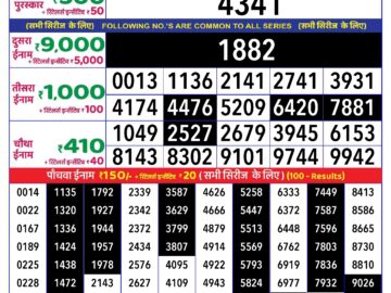 Lottery Result Today August 17, 2024