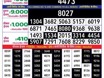 Lottery Result Today August 13, 2024