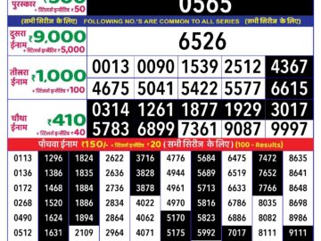 Lottery Result Today August 20, 2024