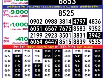 Lottery Result Today August 20, 2024