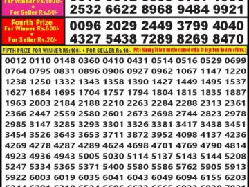 Lottery Result Today August 28, 2024