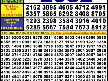 Lottery Result Today August 4, 2024