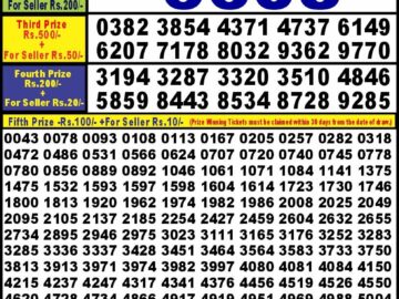 Lottery Result Today August 12, 2024