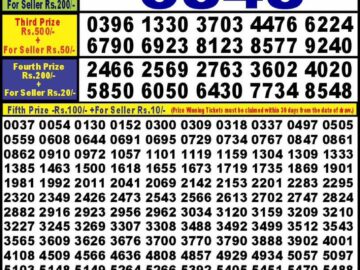 Lottery Result Today August 31, 2024