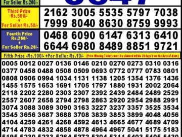 Lottery Result Today August 28, 2024