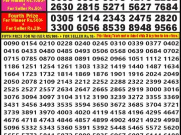 Lottery Result Today August 27, 2024