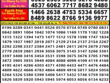 Lottery Result Today August 11, 2024