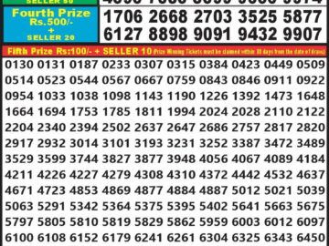 Lottery Result Today August 20, 2024