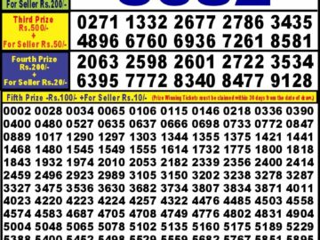 Lottery Result Today August 20, 2024