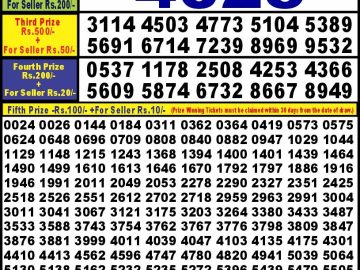 Lottery Result Today September 23, 2024