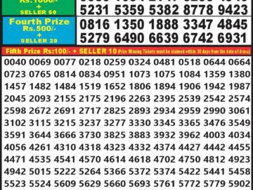 Lottery Result Today September 15, 2024