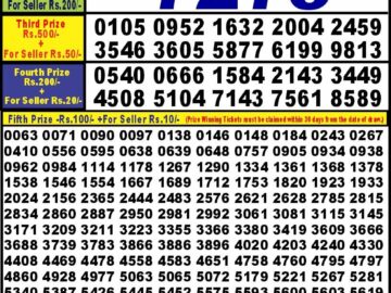 Lottery Result Today September 17, 2024