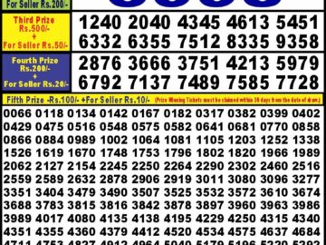 Lottery Result Today September 20, 2024