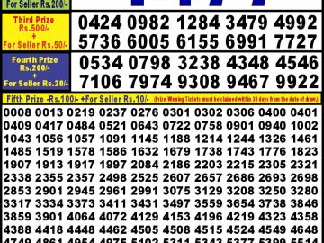 Lottery Result Today September 26, 2024