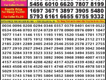 Lottery Result Today September 20, 2024