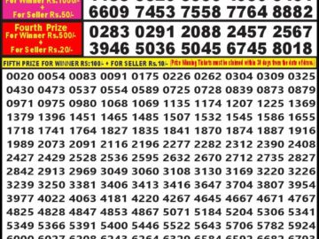 Lottery Result Today September 17, 2024