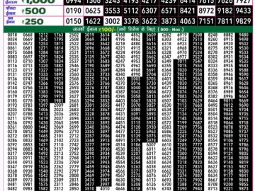 Lottery Result Today September 18, 2024