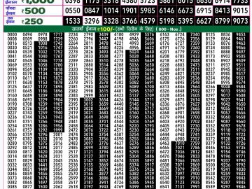 Lottery Result Today September 25, 2024