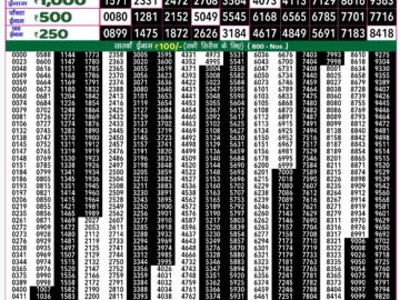 Lottery Result Today September 19, 2024