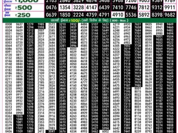 Lottery Result Today September 17, 2024