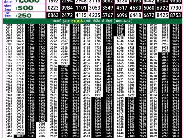 Lottery Result Today September 24, 2024