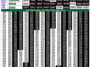 Lottery Result Today September 1, 2024