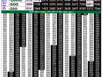 Lottery Result Today September 15, 2024