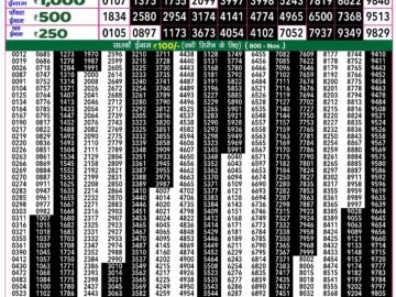 Lottery Result Today September 22, 2024