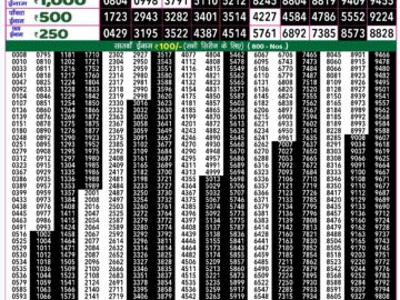 Lottery Result Today September 14, 2024