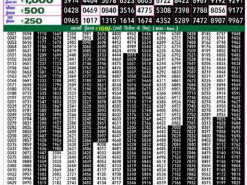 Lottery Result Today September 21, 2024