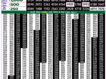 Lottery Result Today September 20, 2024