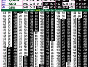 Lottery Result Today September 2, 2024