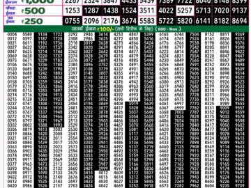 Lottery Result Today September 16, 2024