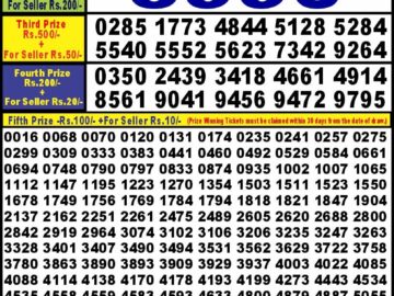 Lottery Result Today September 13, 2024