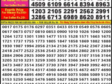 Lottery Result Today September 13, 2024