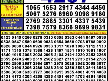 Lottery Result Today September 24, 2024