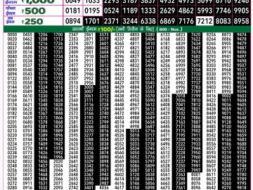 Lottery Result Today October 23, 2024