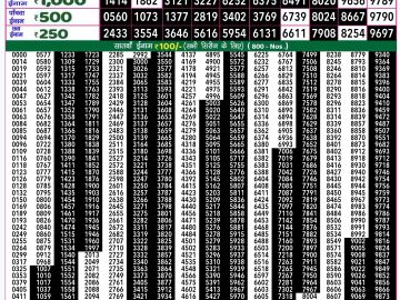 Lottery Result Today October 3, 2024